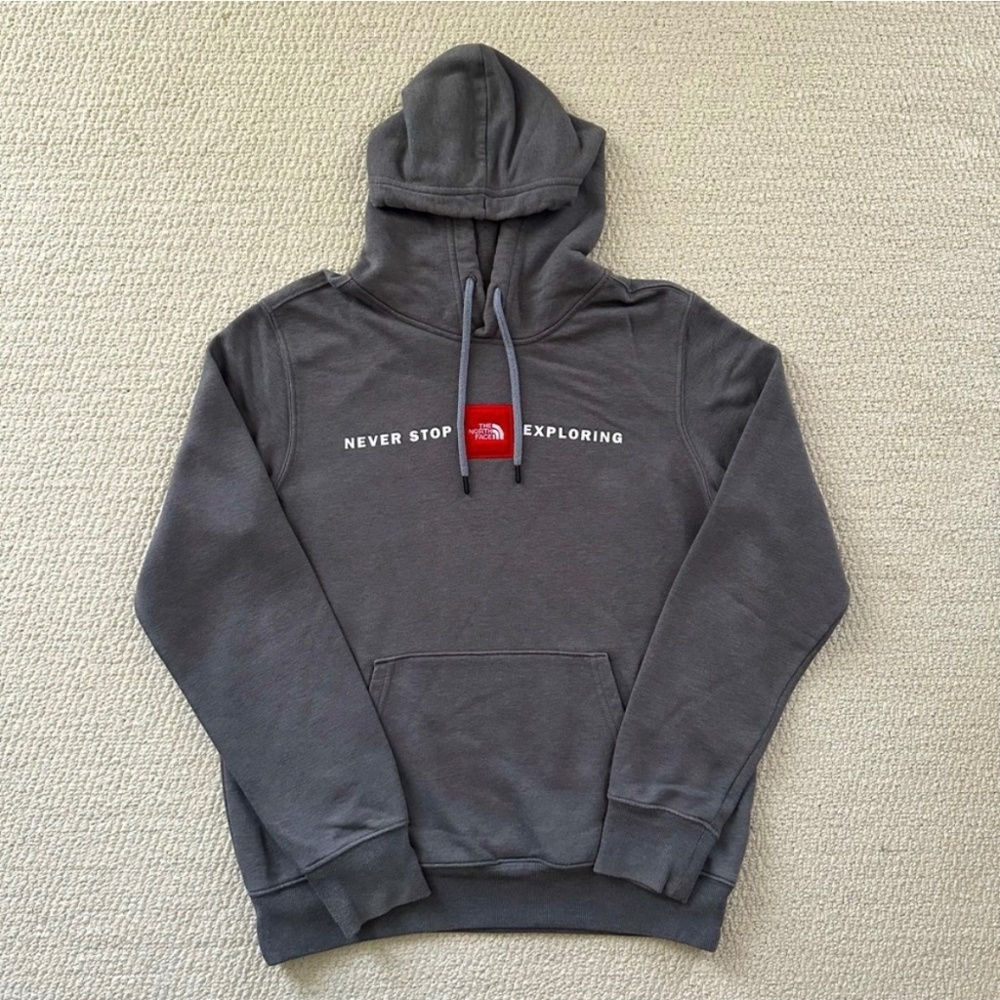 The north face hoodie in good mint condition